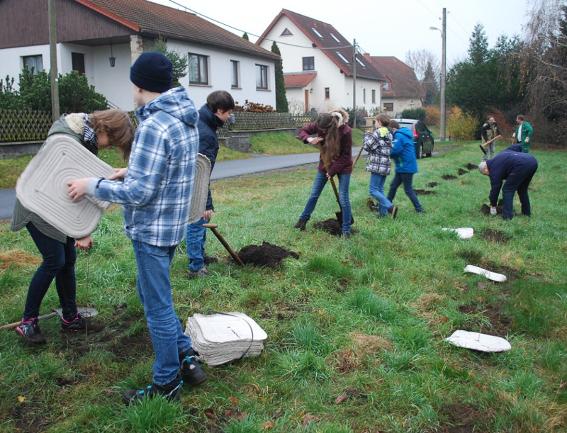 pflanzaktion_kaditz-16