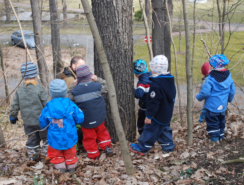Naturkinderhaus Wald