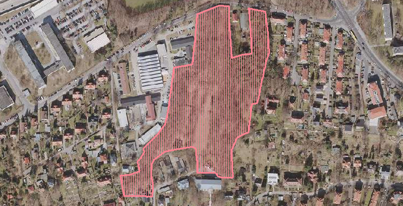 neulaender-strasse-waldbestand