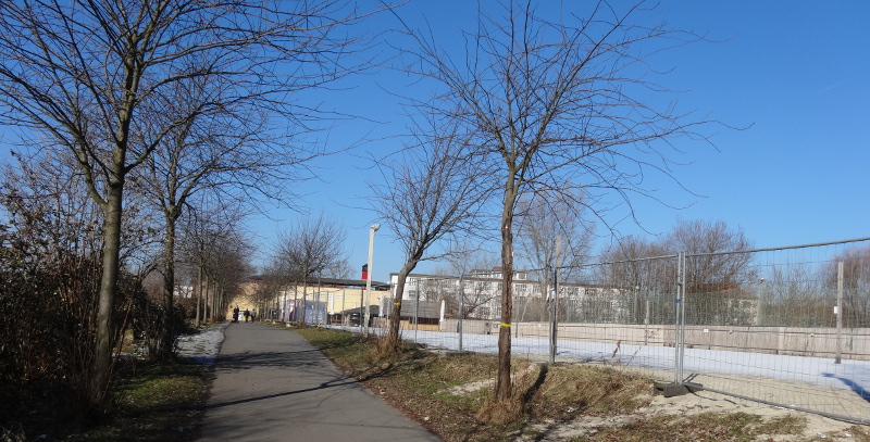 Drewag Baumfällen 1402