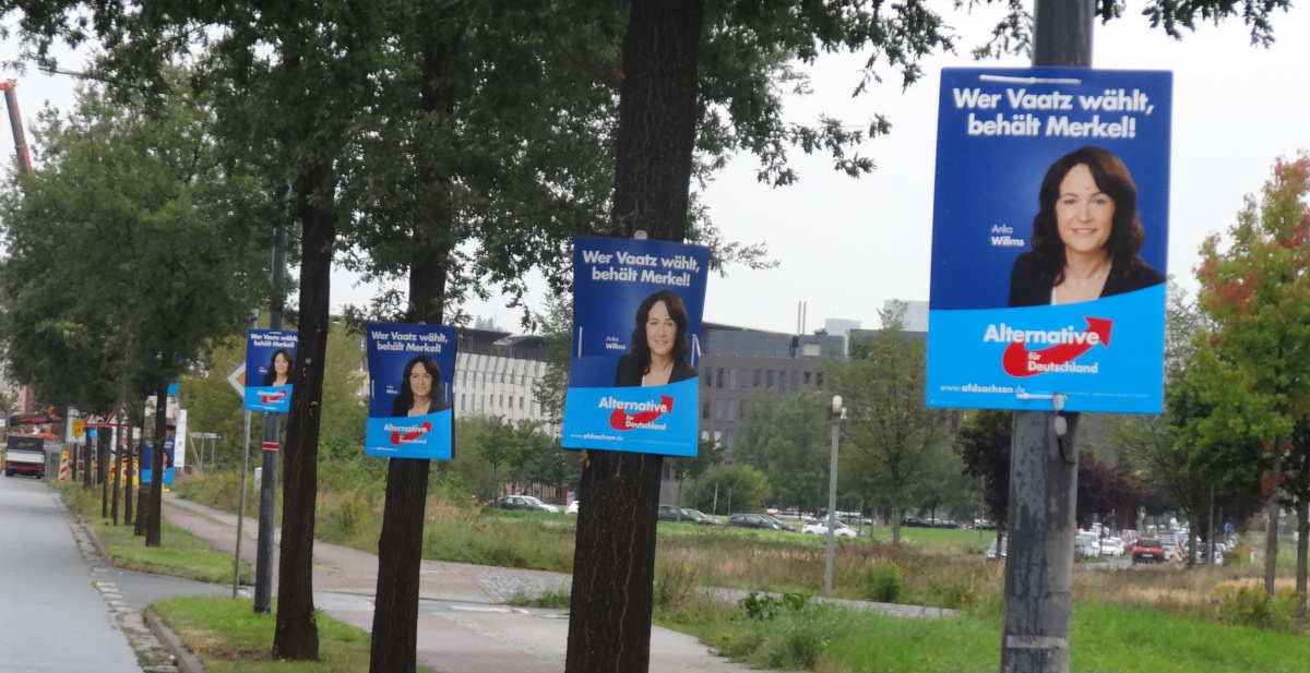 afd wahlplakate willms