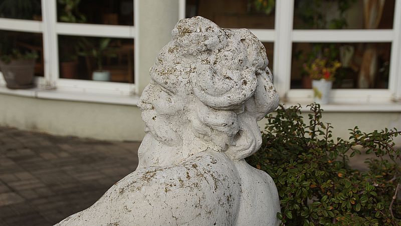 Vassilios Tsetsilas liebt das Risiko. So sehr, dass er sogar kurzzeitig zwei Restaurants betrieb. Nun tritt er ruhiger, sagt er.