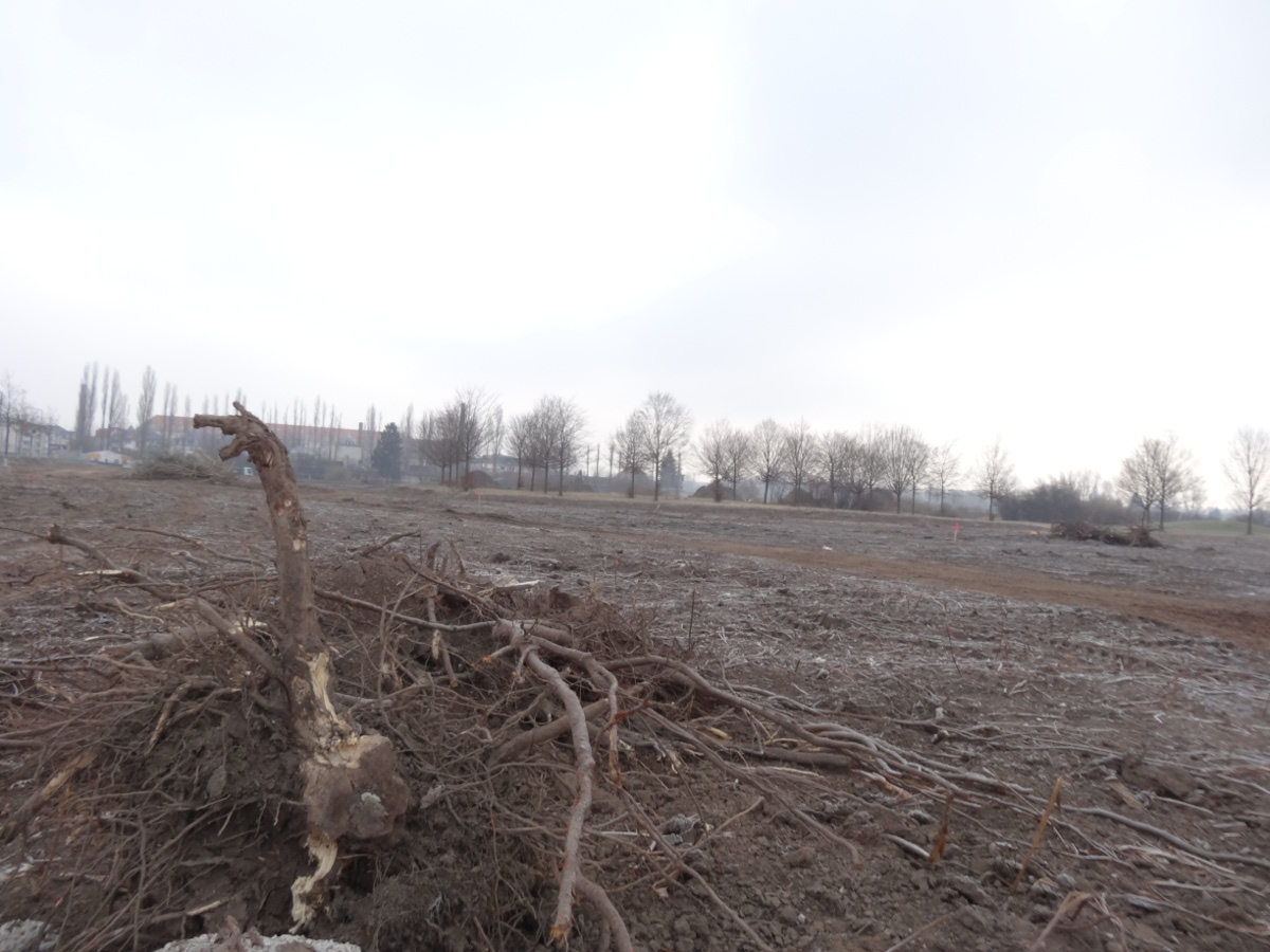 Sternstraße 2102 areal