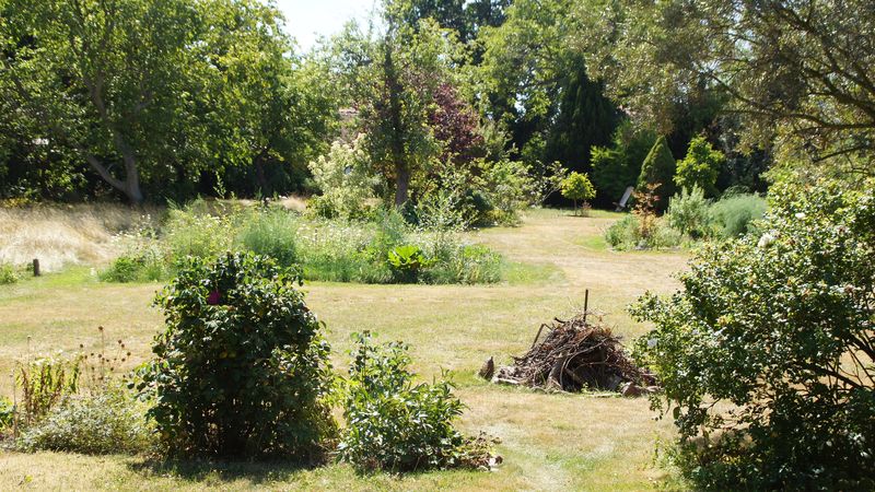 Blick in das Grundstück Alttrachau 31