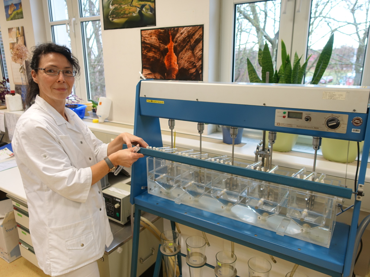 Drewag Wasserwerk Coschütz Kathrin Würl