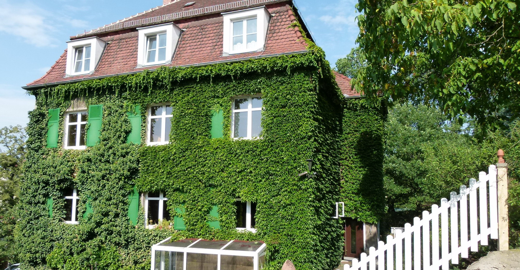 Dresden baut grün Simon