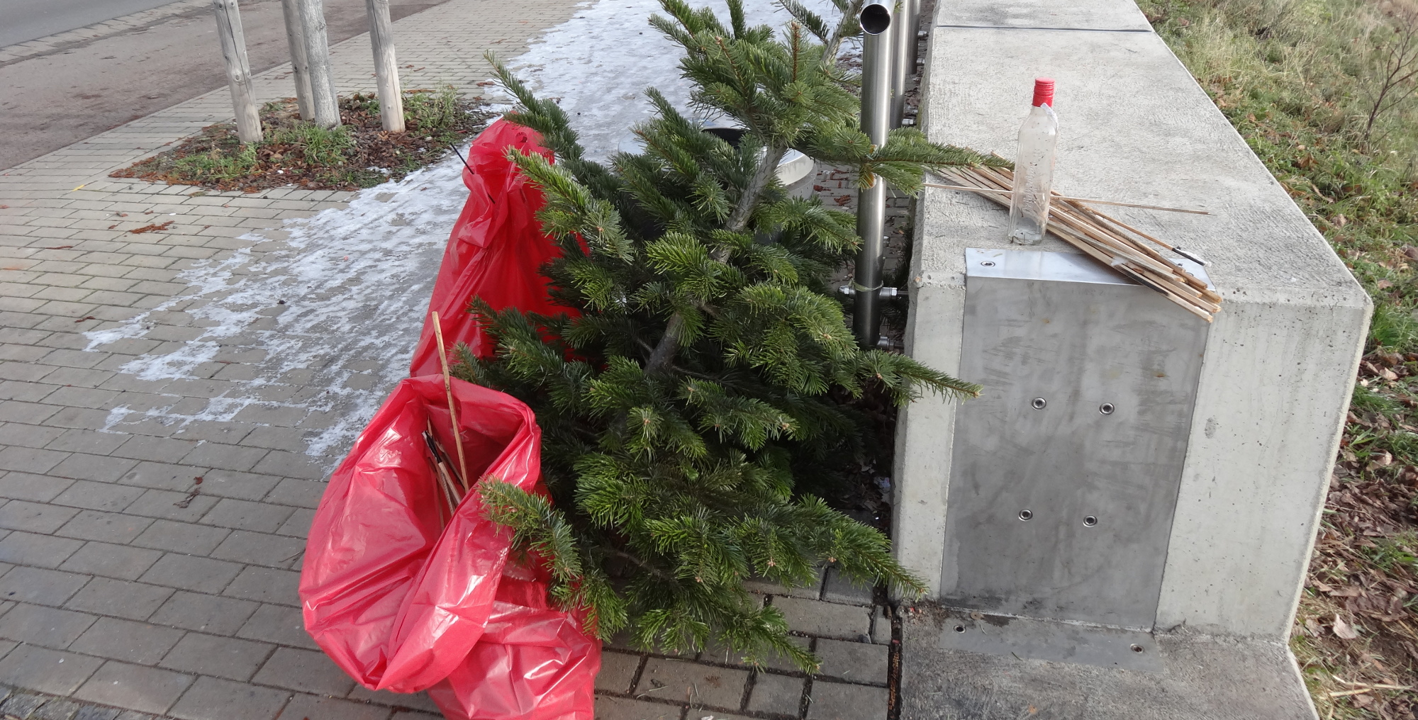 Elbwiesen Neujahrsputz