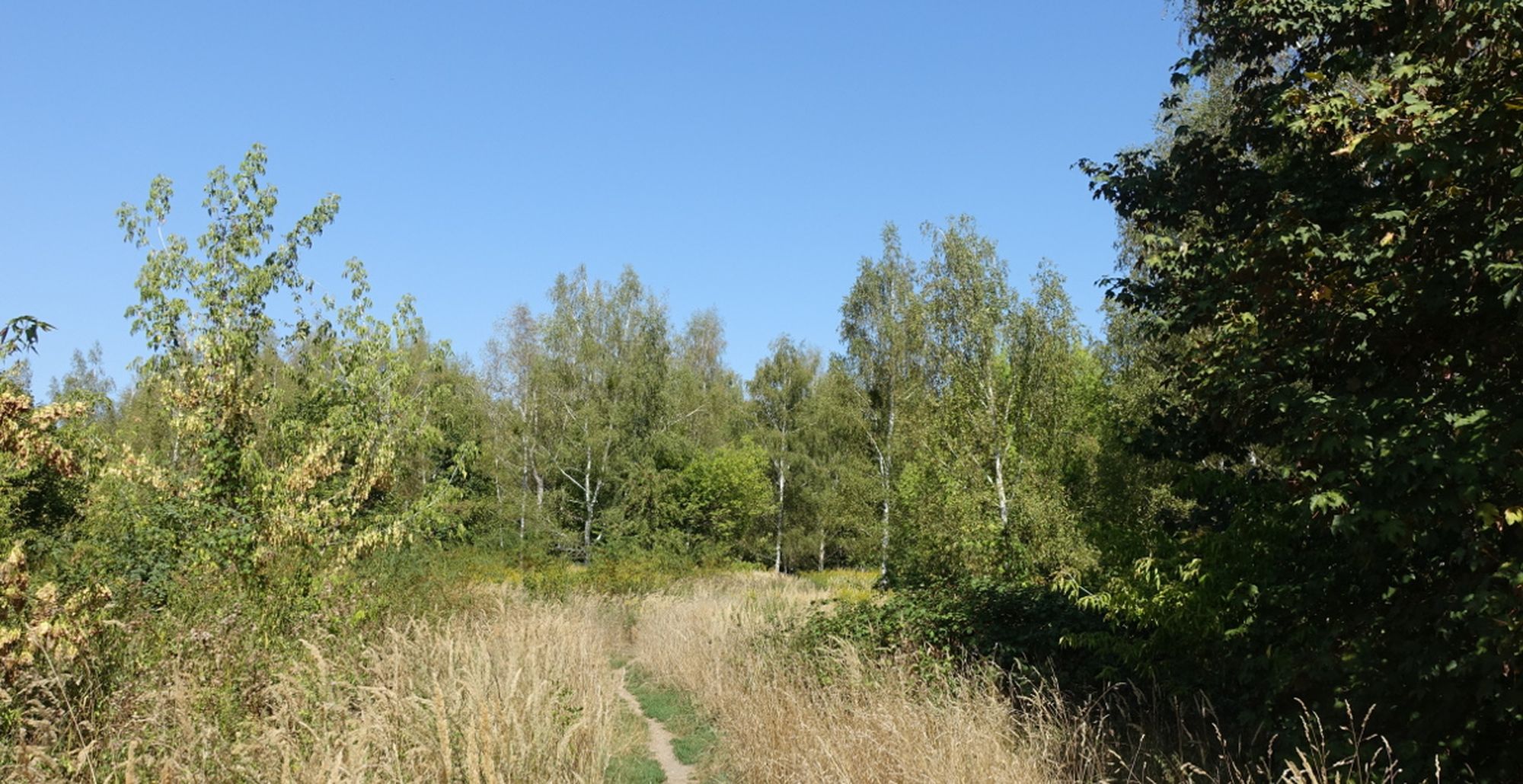 Hufewiesen 2308 Pfad