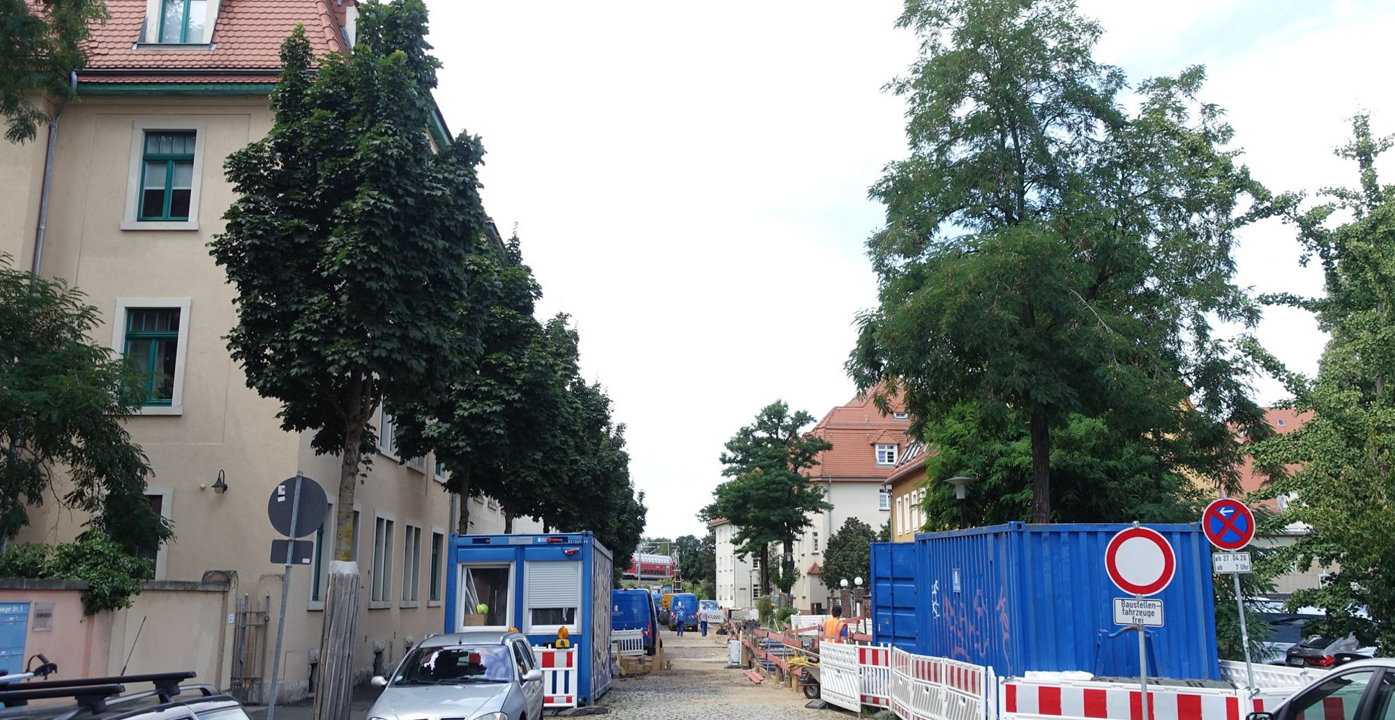 Coswiger Straße Robinien