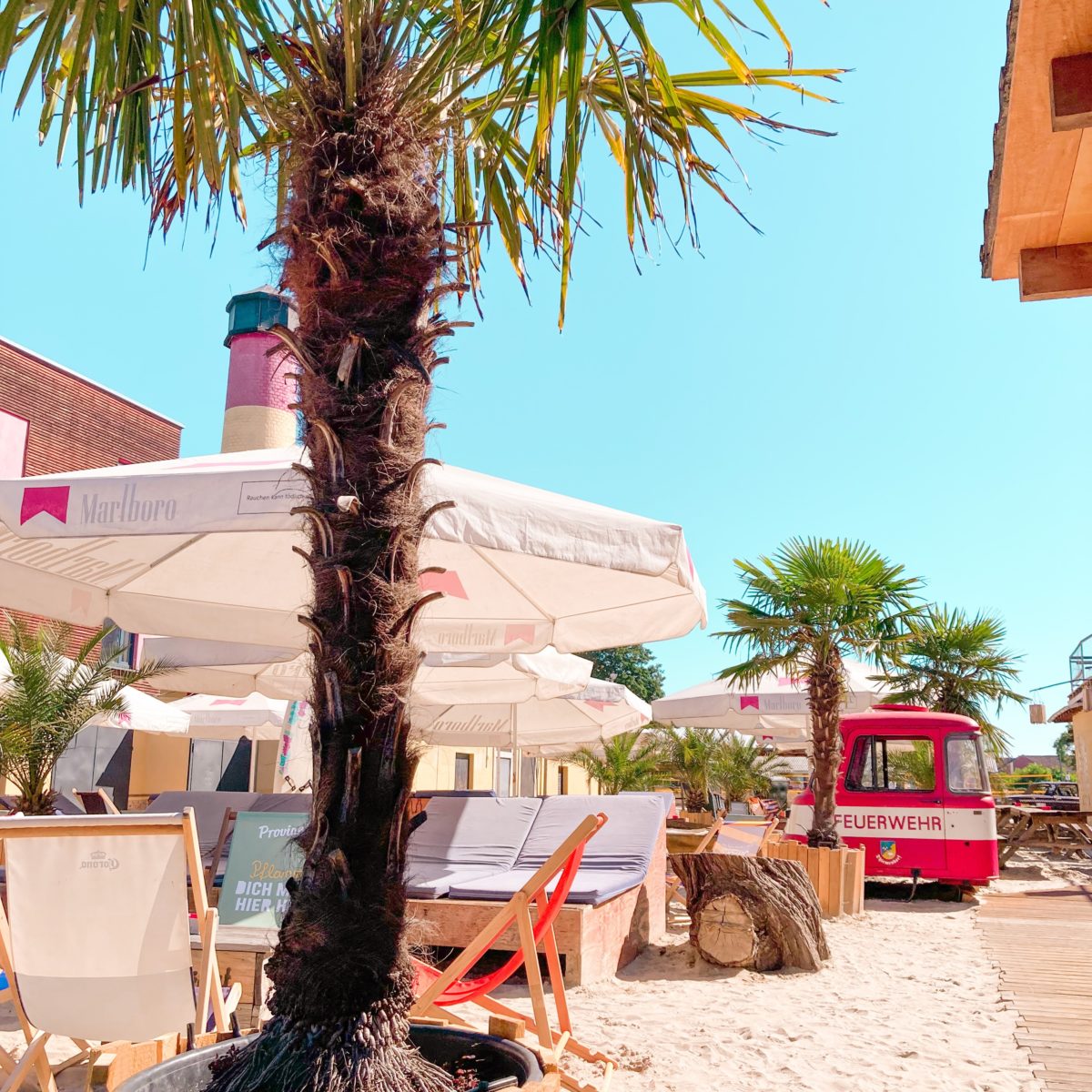 Unter blauem Himmel und Palmen lässt es sich leben. - Foto: Citybeach Dresden