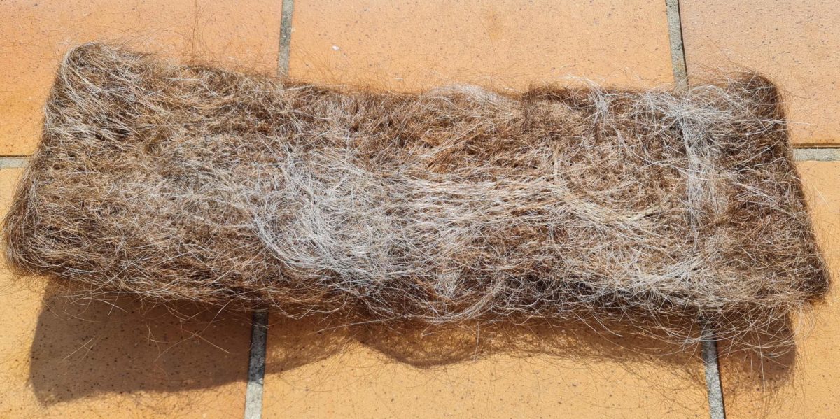 Eine Haarmatte erinnert an einen riesigen Dreadlock. - Foto: Hair help the Ocean