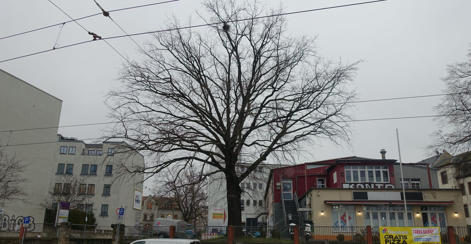 Stieleiche bleibt: Edeka hat Pläne für Markt und Wohnungen überarbeitet Leipziger Str 112 Edekamarkt