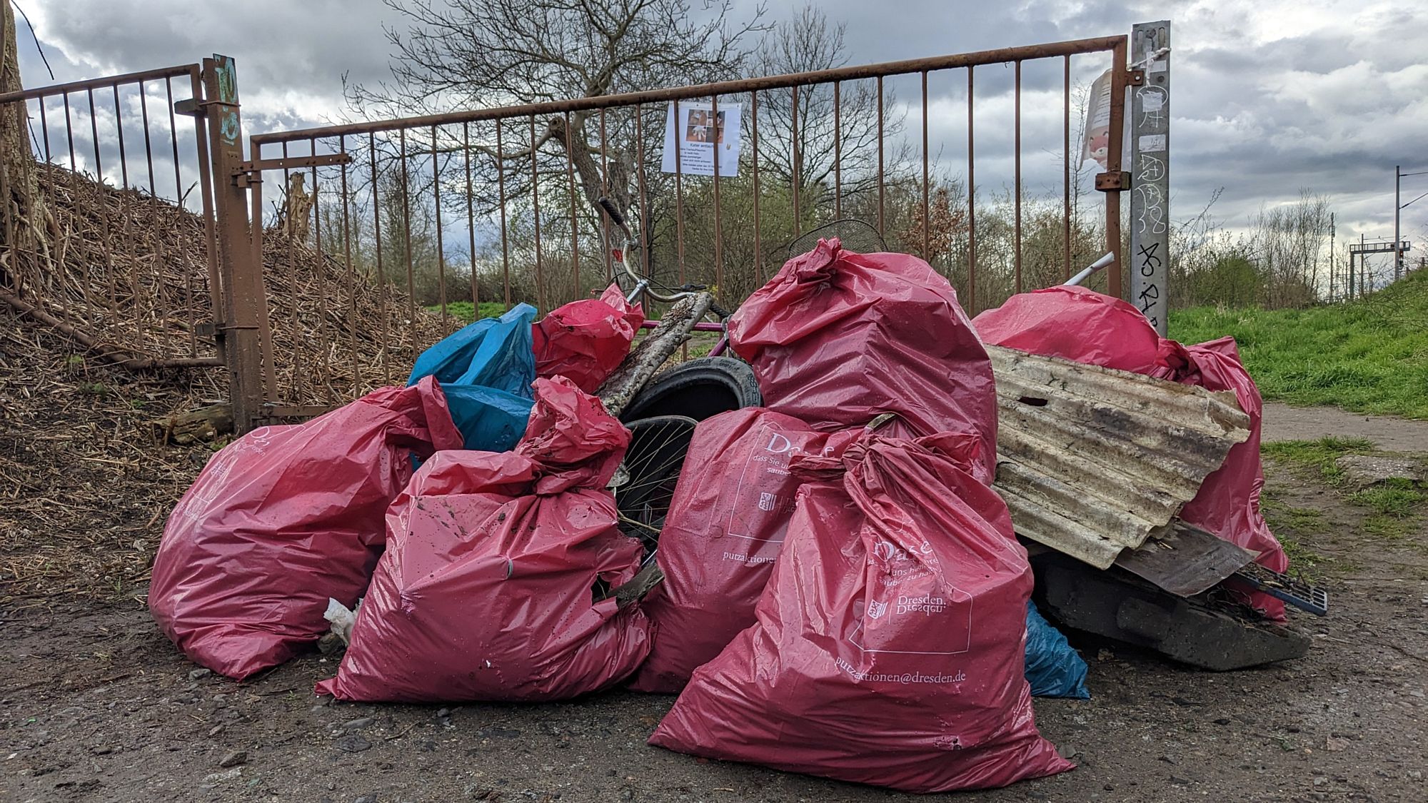 Müllsammeln auf den Hufewiesen. Foto: Hufewiesen Trachau e.V.