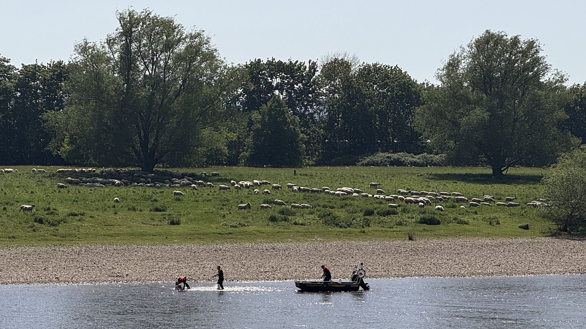 Einsatzkräfte des Rettungsbootes retten den Mann an Land. Foto: Feuerwehr Dresden