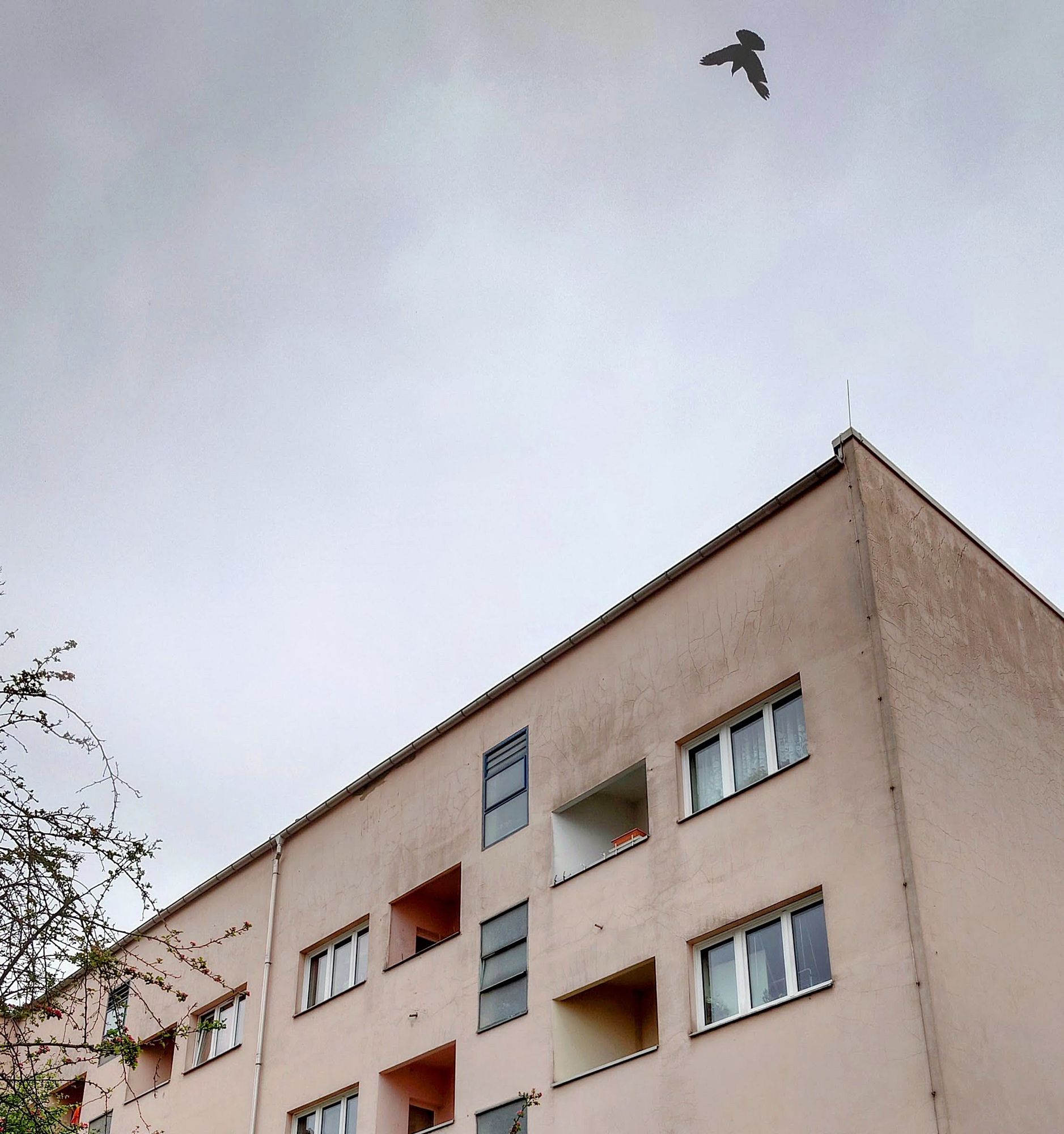 "Neue Sachlichkeit" am Arno-Lade-Block. Foto: J. Frintert