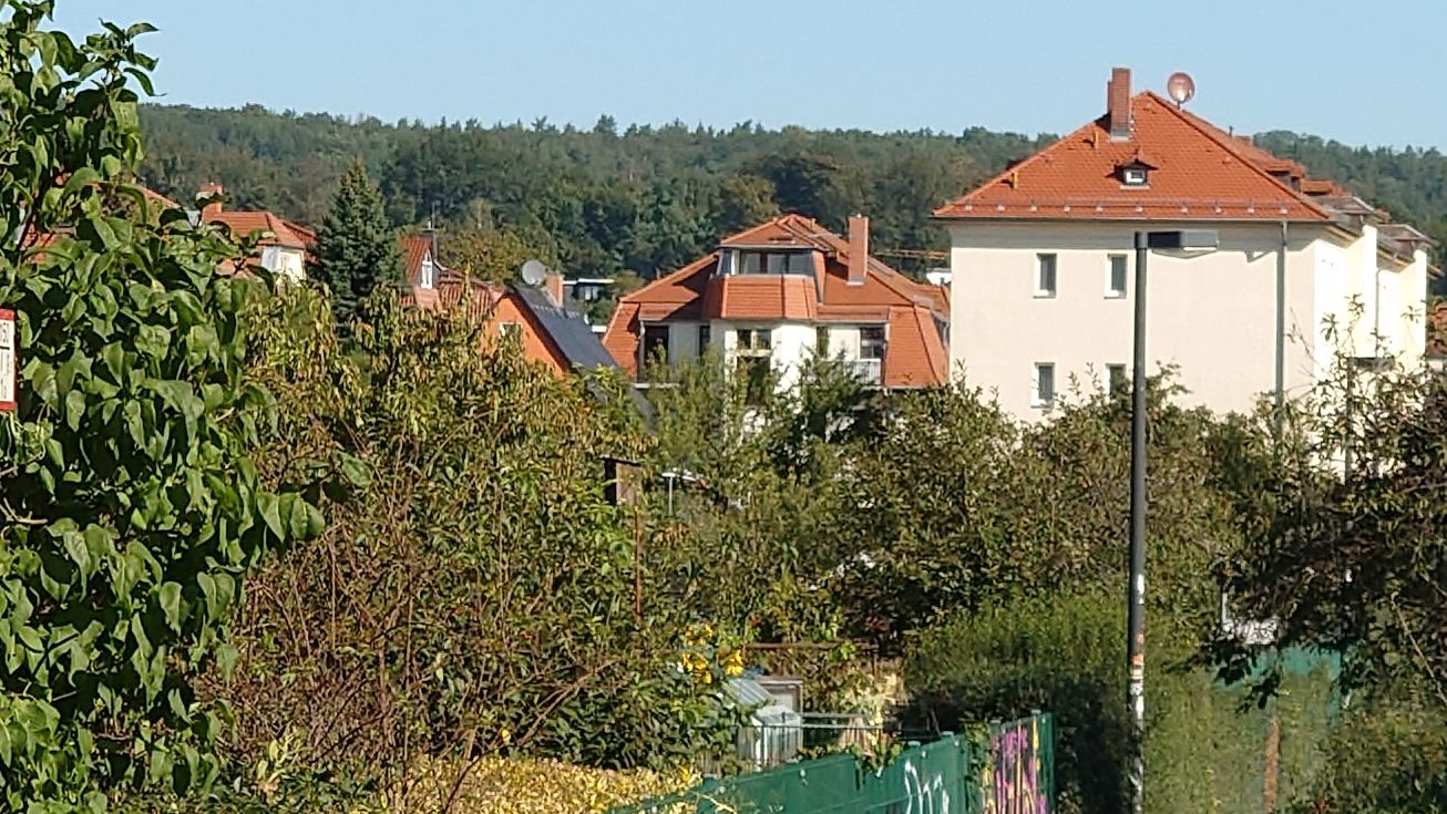 Kleingartenanlage in Dresden-Trachau - Foto: Archiv J. Frintert