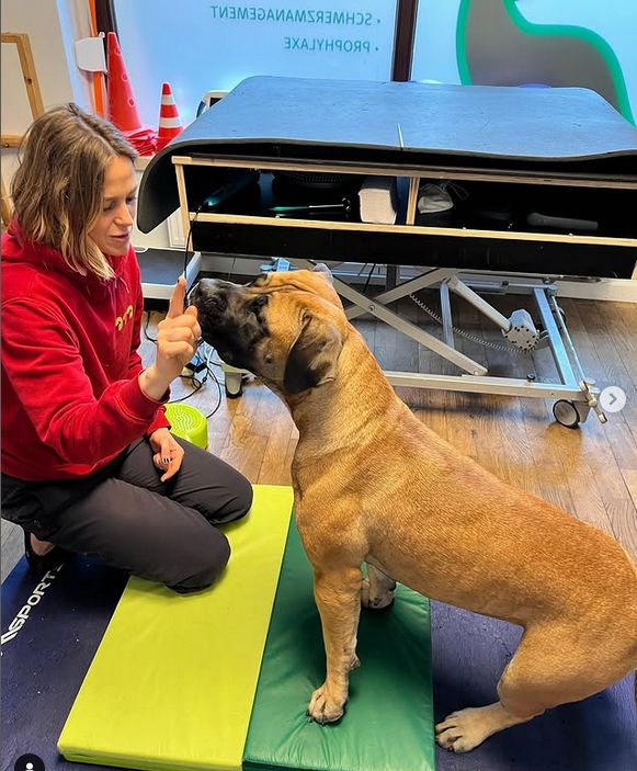Mattentraining zur Stärkung der Koordination. Foto: Patricia Franetovic