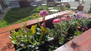 Mittlerweile zieren vier Hochbeete den Platz rund um's Trafohäuschen.