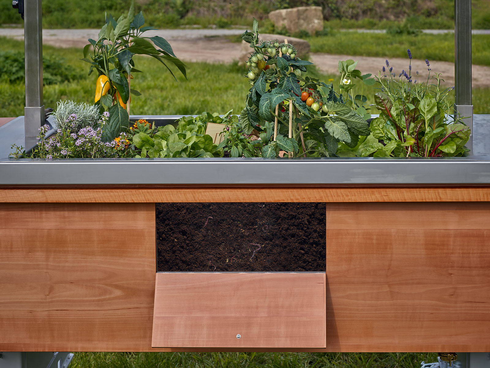 Sozial-medizinische Einrichtungen und Privatleute können das Hochbeet nutzen. Durch ein Sichtfenster kann man das Wurzelwachstum beobachten. Foto: Lothar Sprenger 