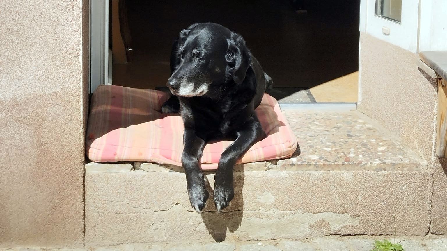 Alles fertig. Sankt Pieschen kann starten. Foto: Sophia Reichel