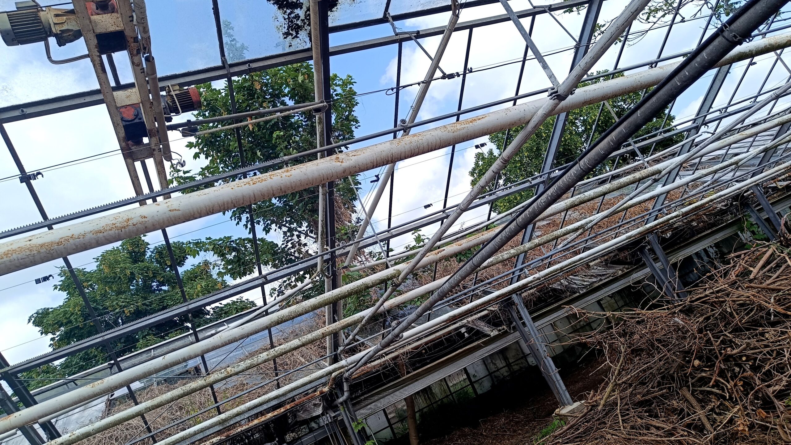 Die ehemaligen Gewächshäuser der Gärtnerei Nitzsche warten noch auf Reaktivierung.