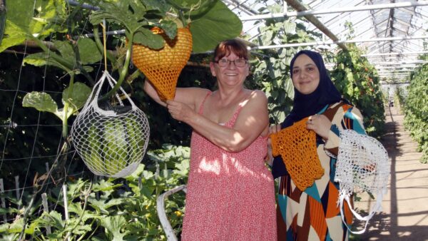 Silvia Benaoda und Mervat Shraif vom Verein "Jugend - Arbeit - Bildung" haben die Kürbisse mit Hilfe der "schnellen Häkelgruppe" gerettet. Foto: Sabine Mutschke