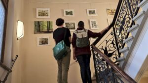 Neue Ausstellung im Rathaus Pieschen Die Ausstellung "Was uns bewegt..." ist auch im Treppenhaus des Rathauses zu sehen. Foto: J. Frintert