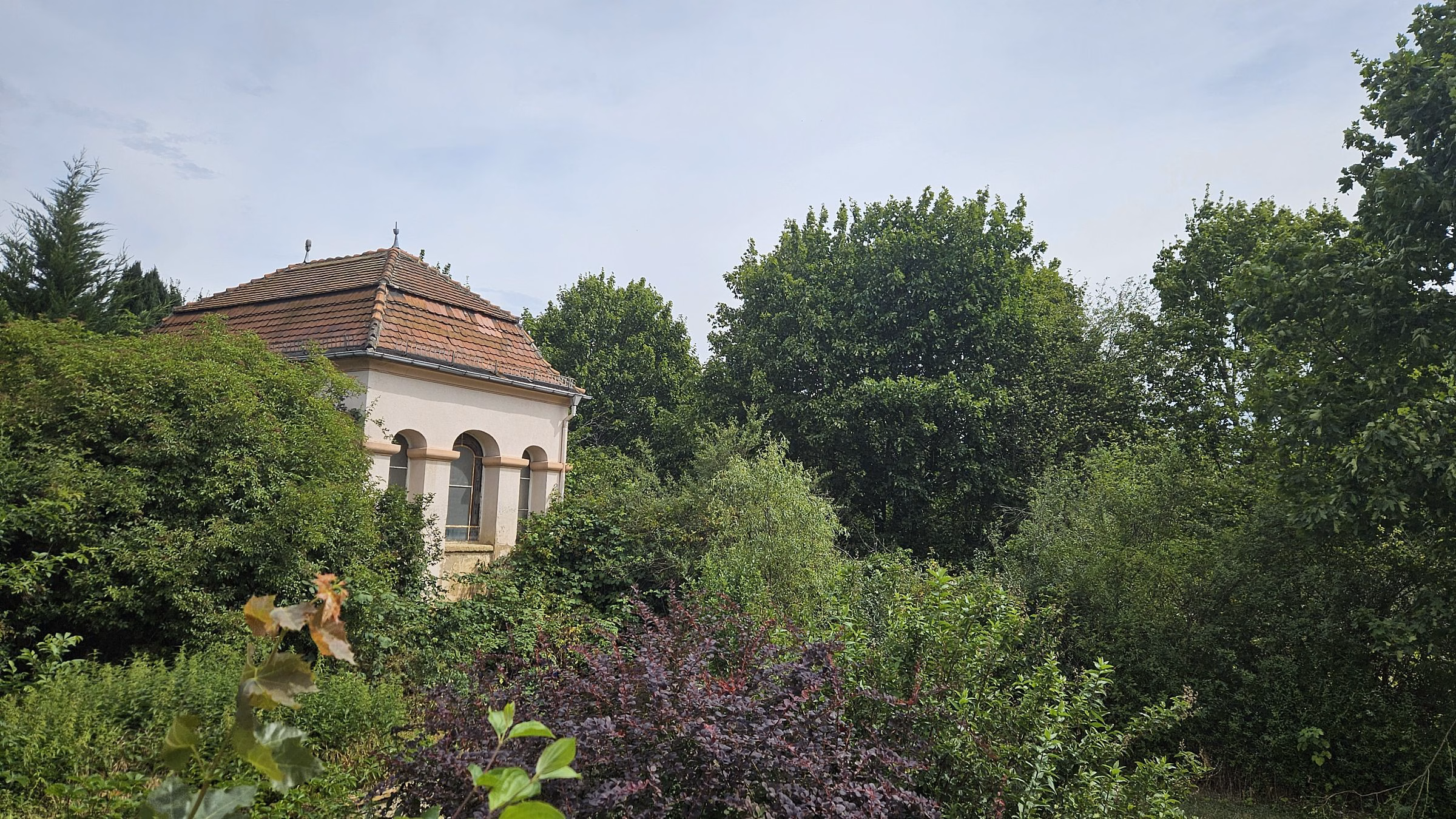 Aktueller Blick von der Veteranenstraße auf das Gelände. Foto: J. Frintert